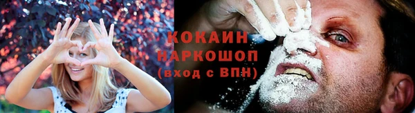 дурь Няндома