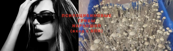 герыч Новокубанск