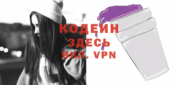 дурь Няндома