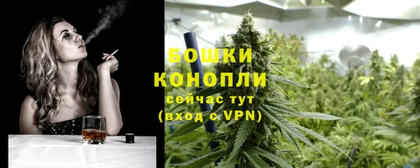 дурь Няндома
