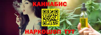 дмт Аргун