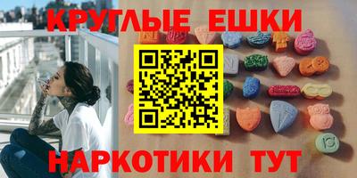 дмт Аргун