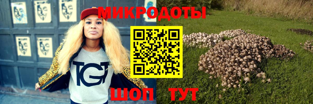 Псилоцибиновые грибы мухоморы Ахтубинск