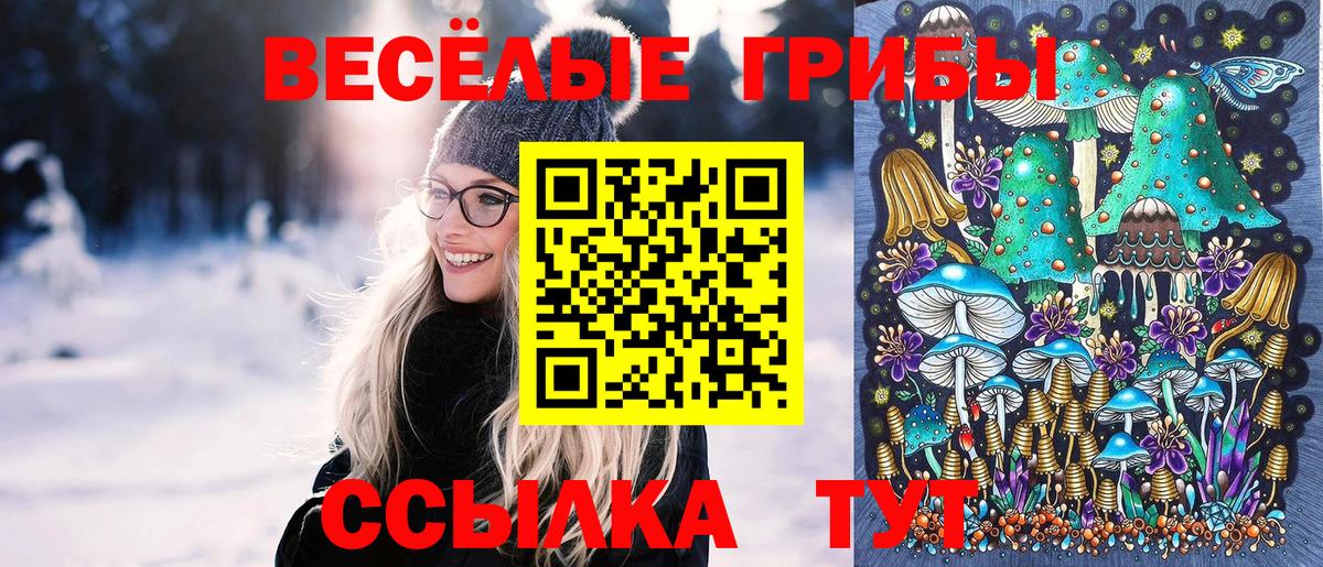 Галлюциногенные грибы прущие грибы  Вход с VPN  Ахтубинск 